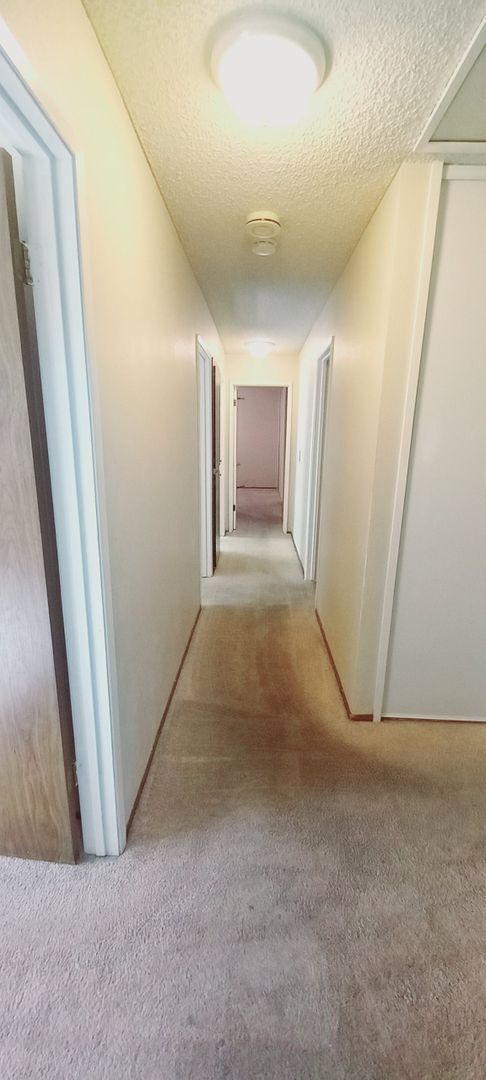 Building Photo - Nice Floorplan, Cute Yards - 4 Bedroom/2 B...