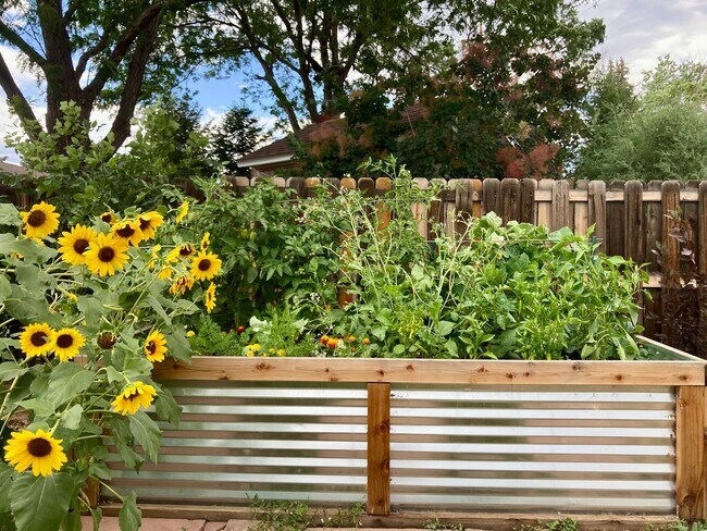 Building Photo - Wonderful Large 5 Bedroom House with Fenced Back Yard and 2-Car Garage