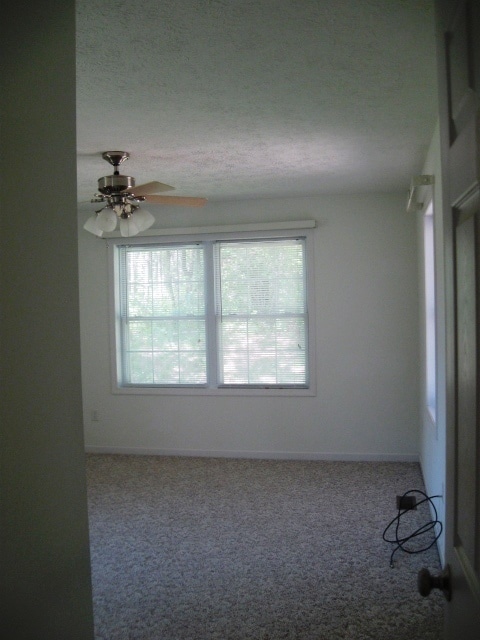Building Photo - 247 Daniel Boone Dr Ext