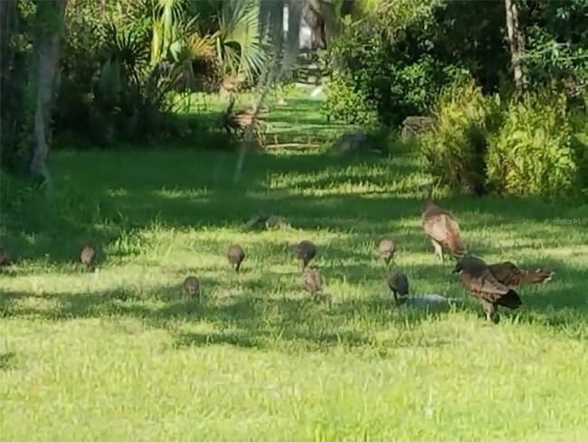 Building Photo - 4708 Hidden River Rd