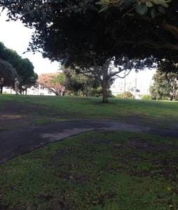 Park 200 yards away for Yoga Tai Chi Play - 2444 4th St