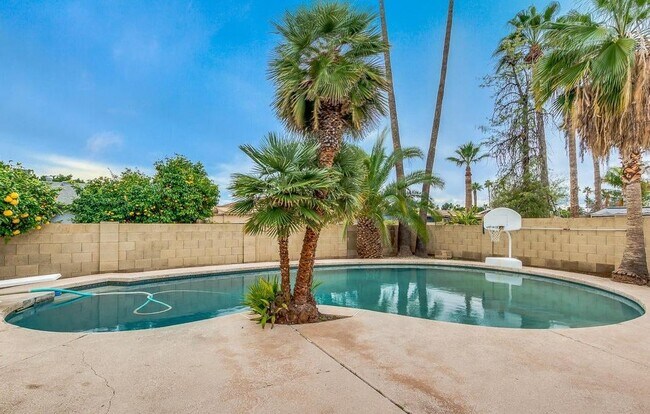 Building Photo - 2439 E Del Rio Dr