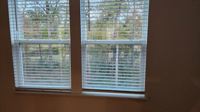 Building Photo - 4386 Leeward Breeze Lp