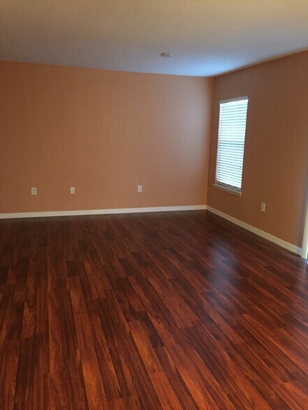 Living room - 4045 Pemberly Pines Cir