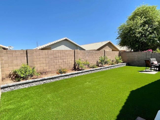 Backyard - 1882 W Springfield Way