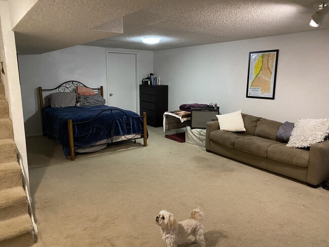 Basement bedroom looking backward - 1240 S Reed St