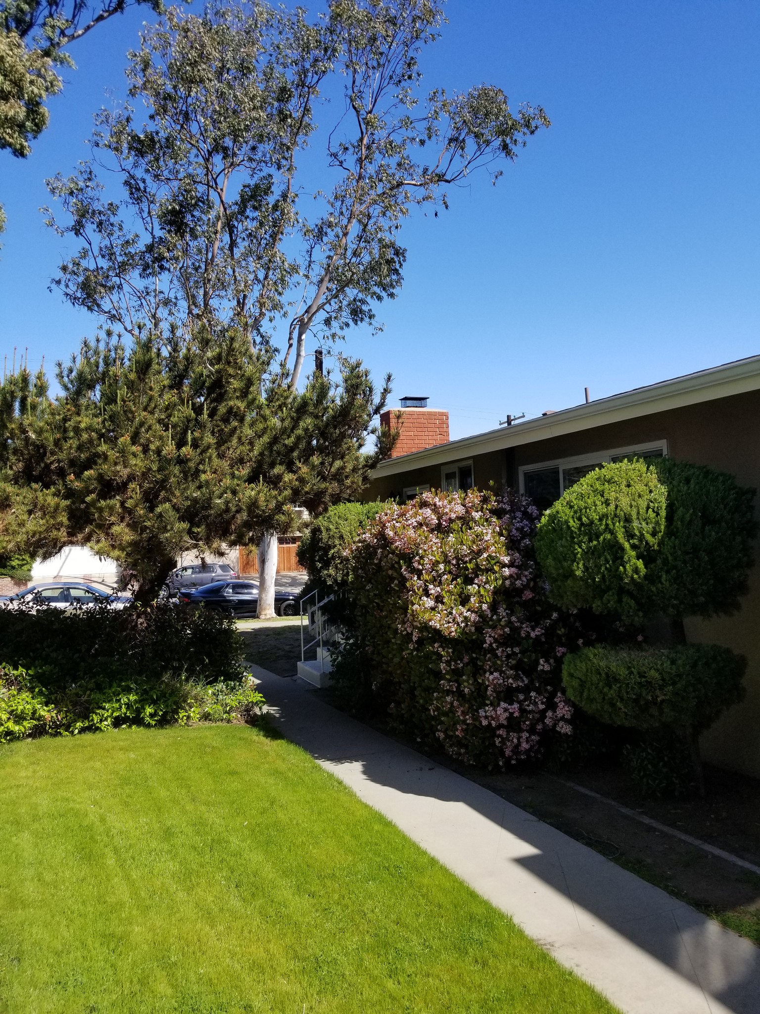 Building Photo - 8130 W 83rd St