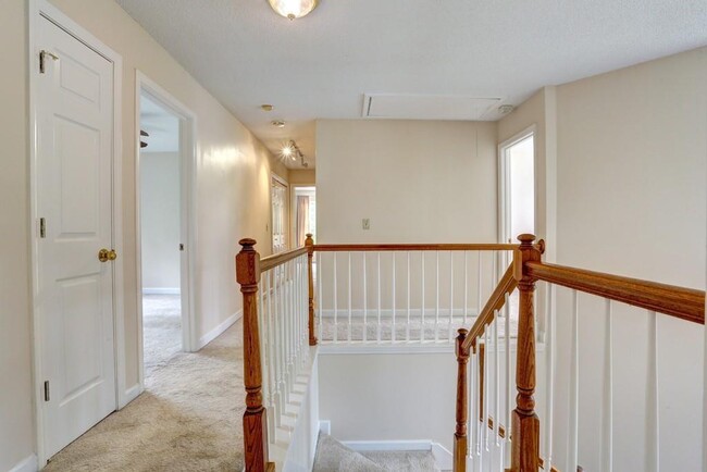 Building Photo - 5041 Anclote Dr