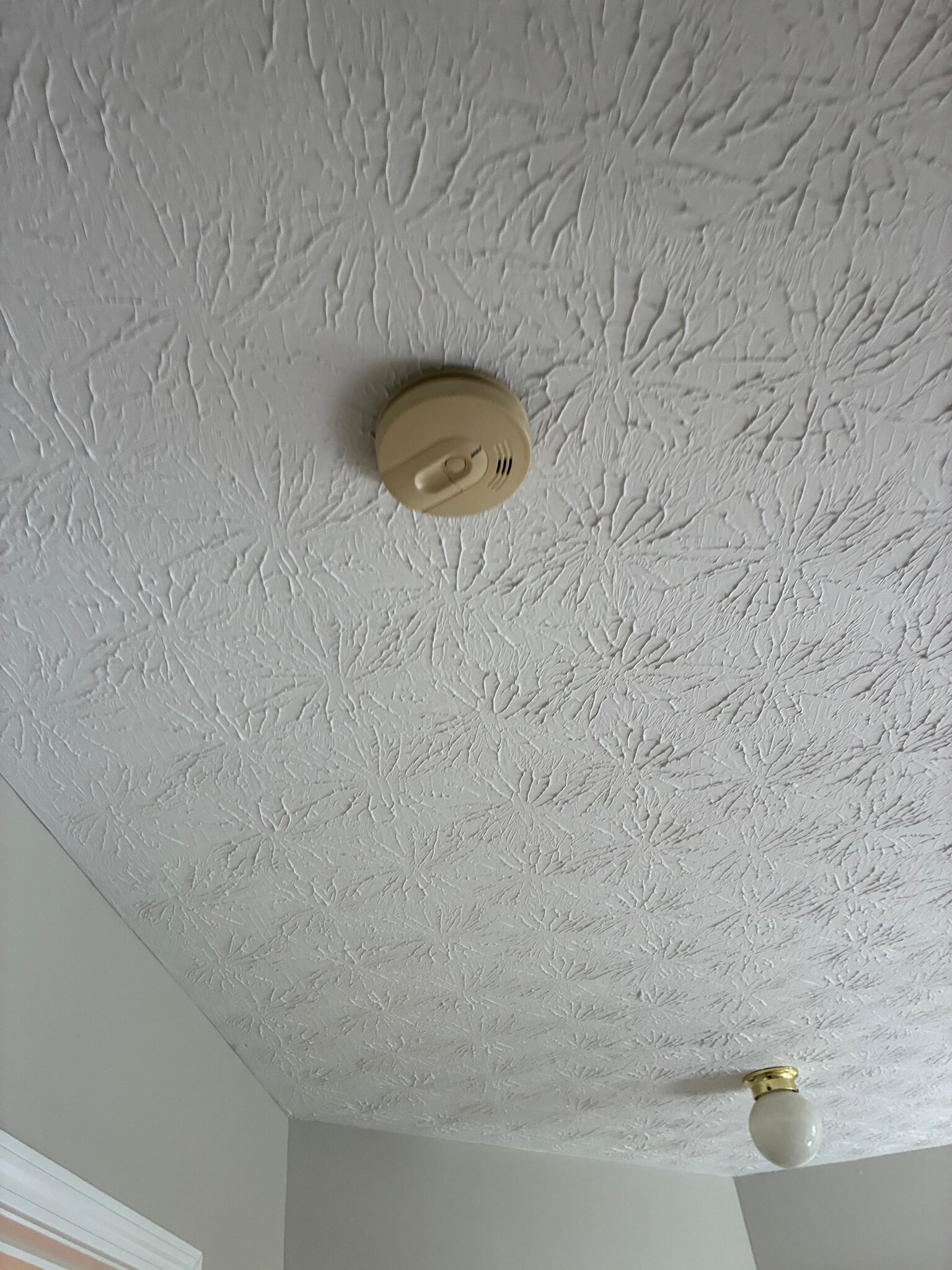 Building Photo - Room in House on Tara Bend