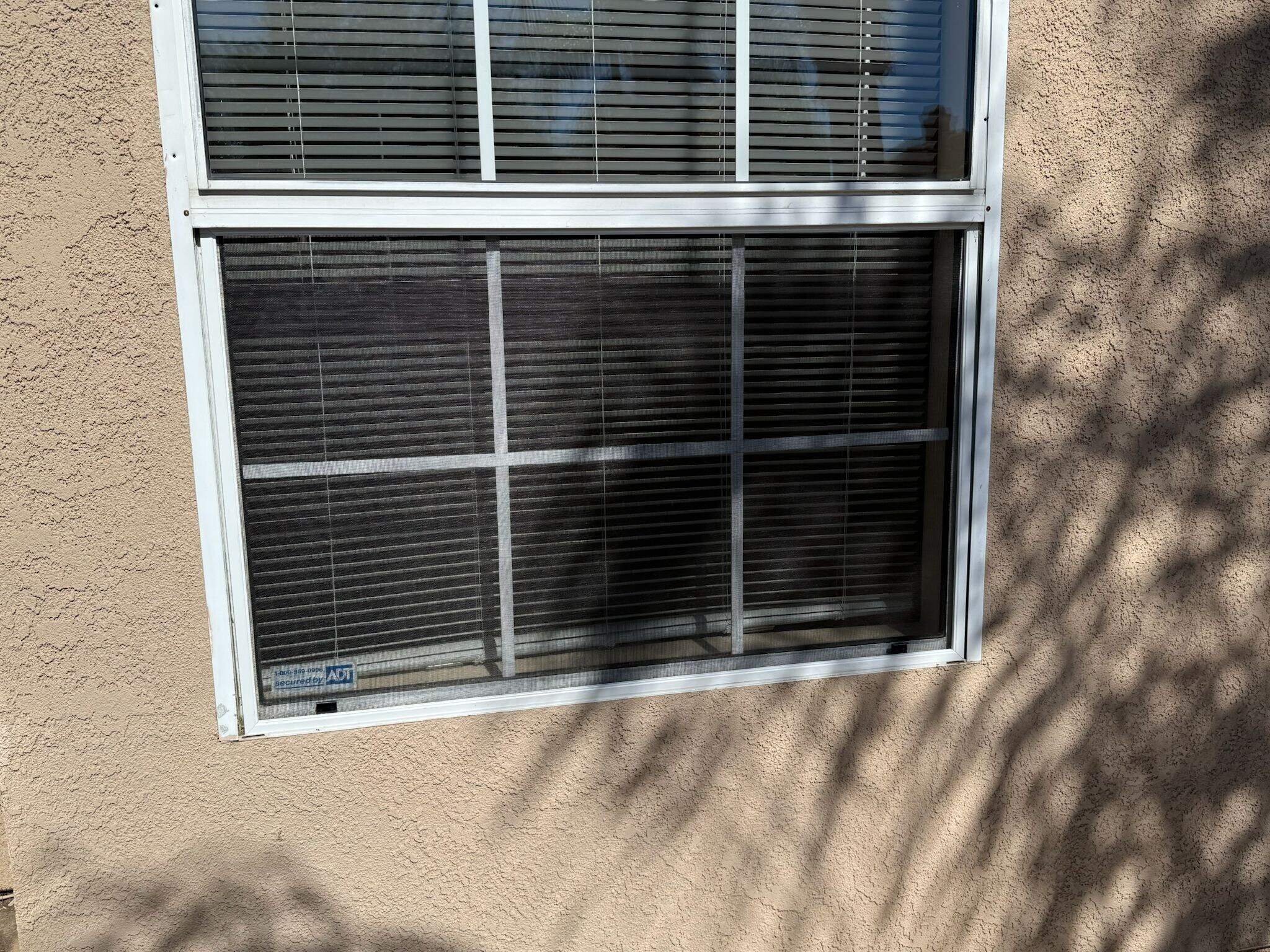 Building Photo - 8955 Digger Pine Dr