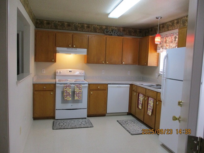 Building Photo - 163 Armadillo Ln