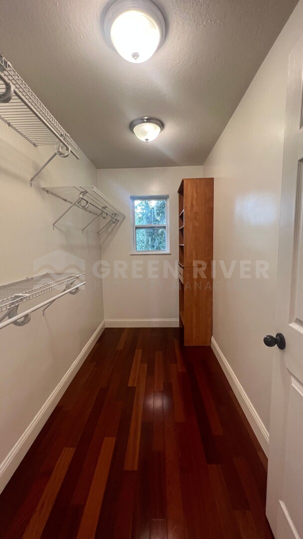 Building Photo - Amazing 4 bedroom home with St Johns River Views Available Now!