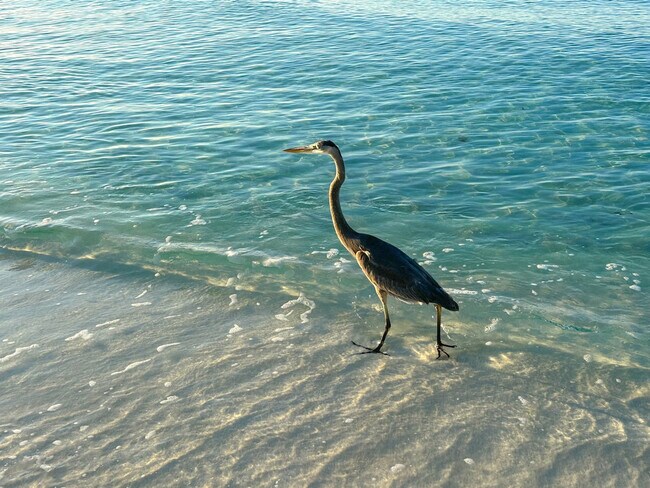 Building Photo - 3191 Scenic Hwy 98