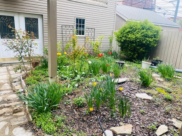 Backyard in Spring - 2014 W Fletcher St