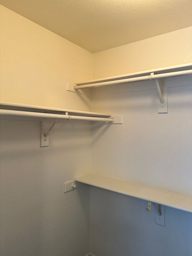 Building Photo - 2765 Albatross Ln