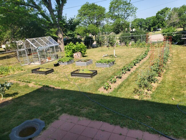 Yard - 4402 Dwight Dr