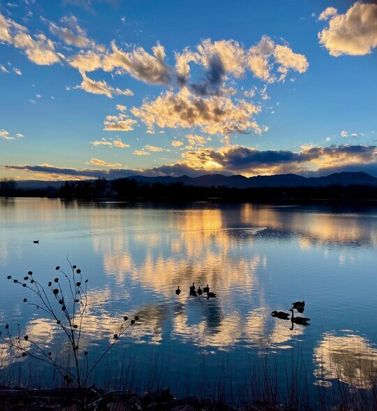 Building Photo - 2002 S Fork Dr