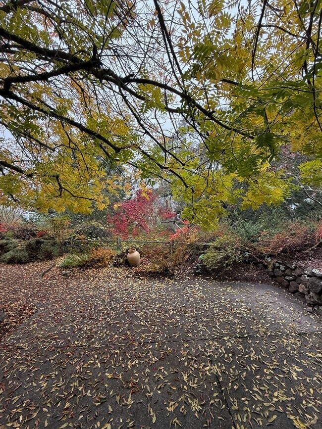 Building Photo - Spacious 4 Bedroom Home for Rent in Desirable Fountain Grove