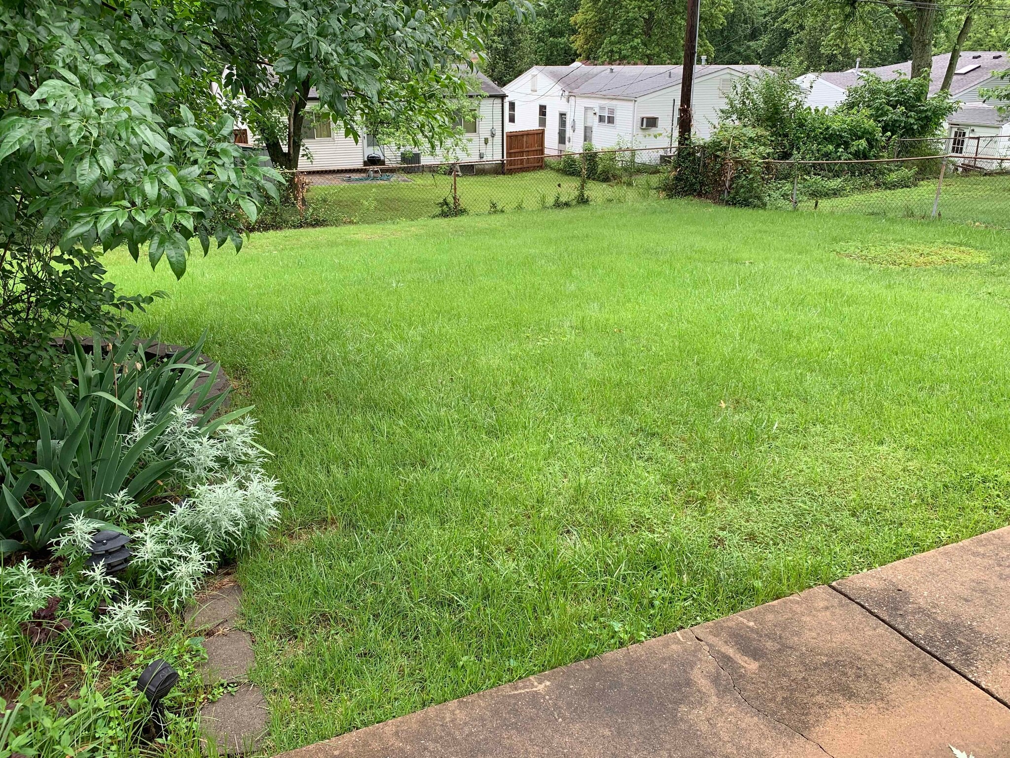 Fenced back yard; back landscaping - 11934 Holly Brook Dr