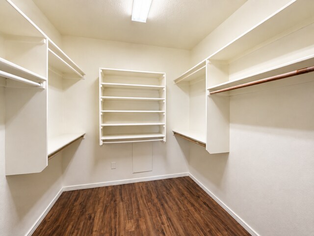 Building Photo - 2067 Violeta Cir SE