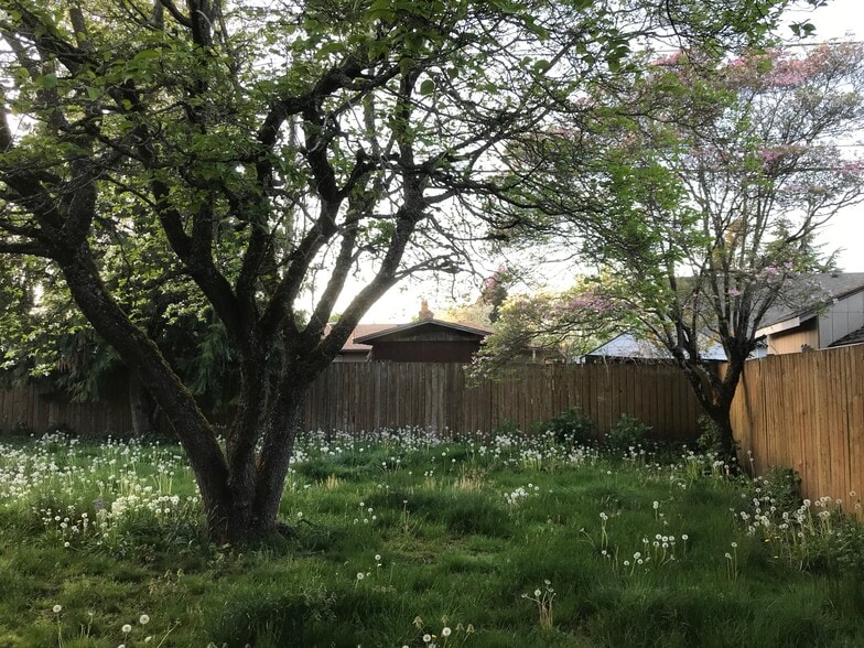 Yard right now, will be mowed :) - 9003 SE Stephens St