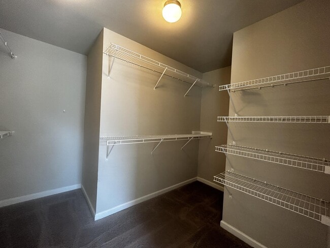 Building Photo - 1047 Haley Woods Ct