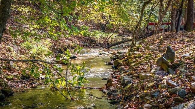 Building Photo - 212 Dogpatch Ln