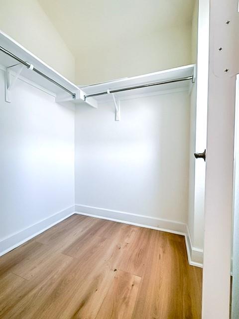 Building Photo - 4522 Gallo Matese Ct