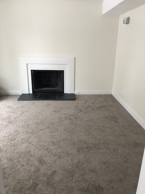 Great living room space in the basement with a fireplace and walkout to the backyard patio/yard - 6224 Magnolia Ln N