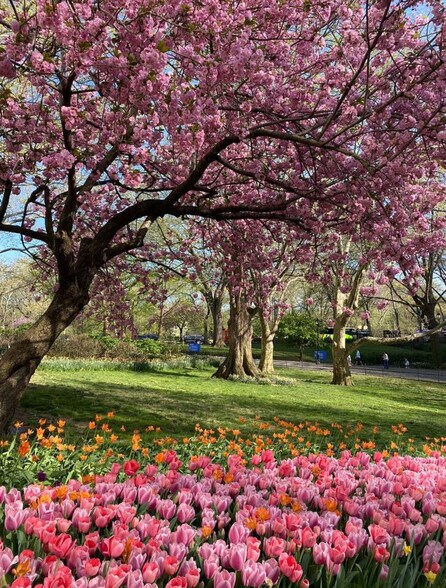 Building Photo - 112 W 78th St