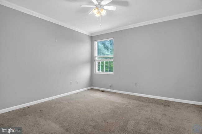 Building Photo - 2800 Pulpit Hill Ct
