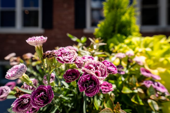 Building Photo - 101 N Rose St