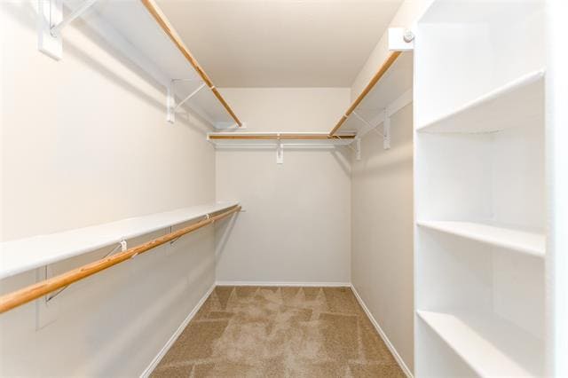 Building Photo - 1017 Caleb St