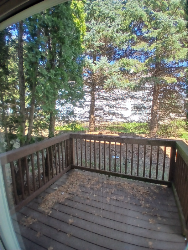 Building Photo - 10215 Metalmark Ln
