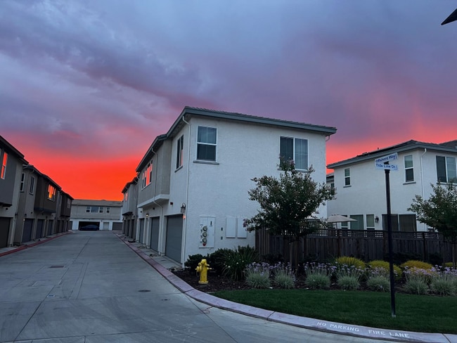 Building Photo - 1597 Offshore Wy
