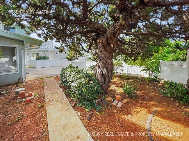 Building Photo - Video - Kailua Cottage - Bike to the Beach!