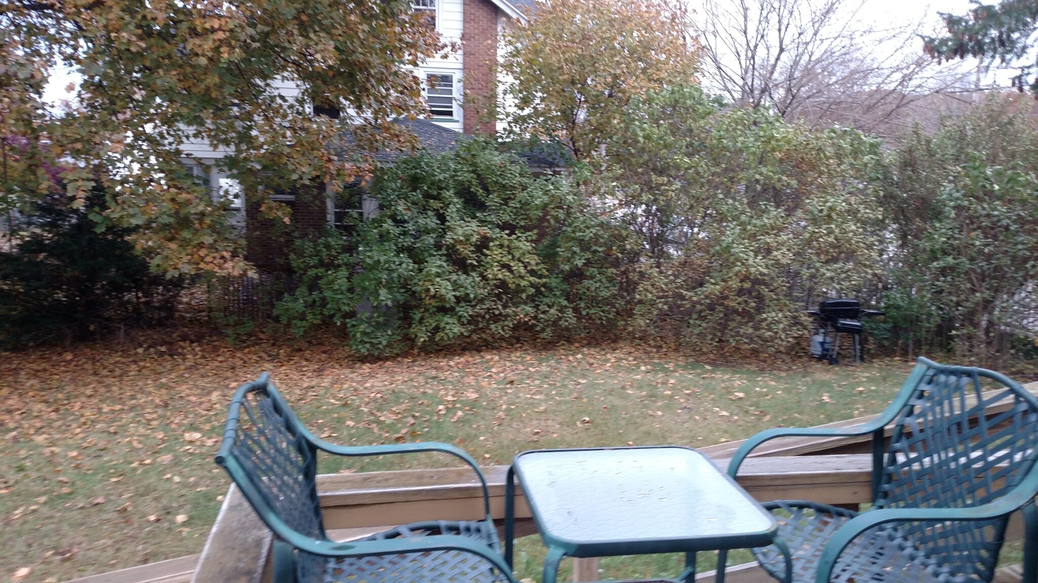 Side yard with deck access. - 2504 Chili Ave