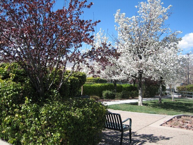 Building Photo - Beautiful 3 bd home in Summerlin Center ne...
