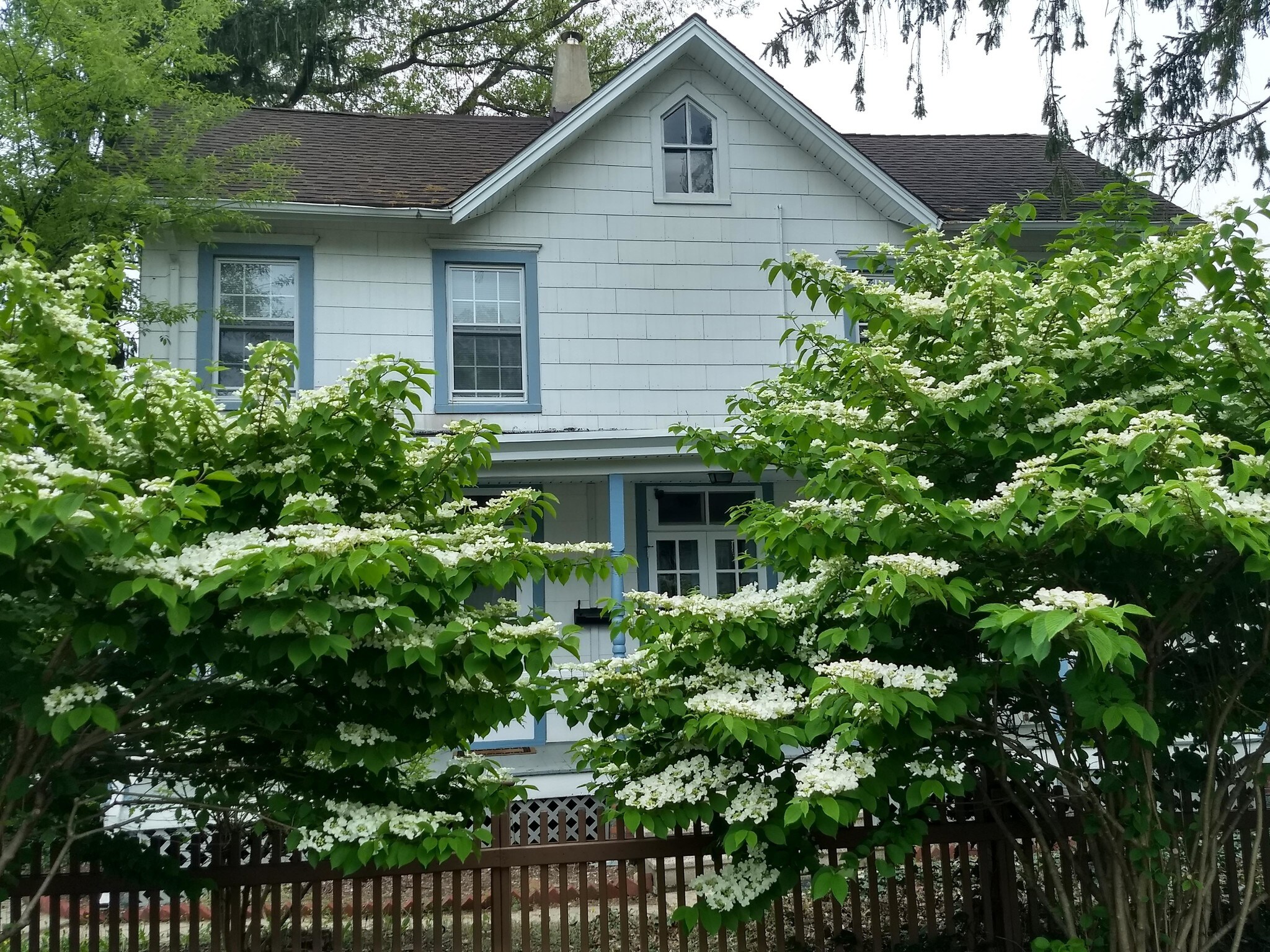 Building Photo - 215 Stockton St