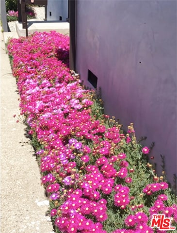 Entrance Flowers - 9044 Carson St
