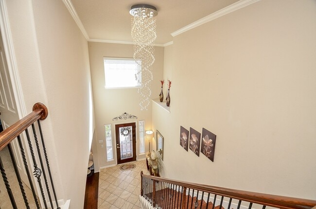 Building Photo - 3115 Sachse Ct