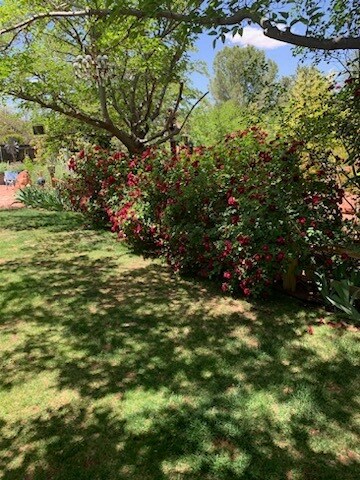 Building Photo - 70 Red Fox Ln