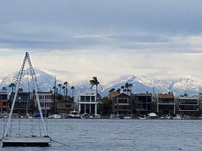 Winter in S.CA - 34 60th Pl
