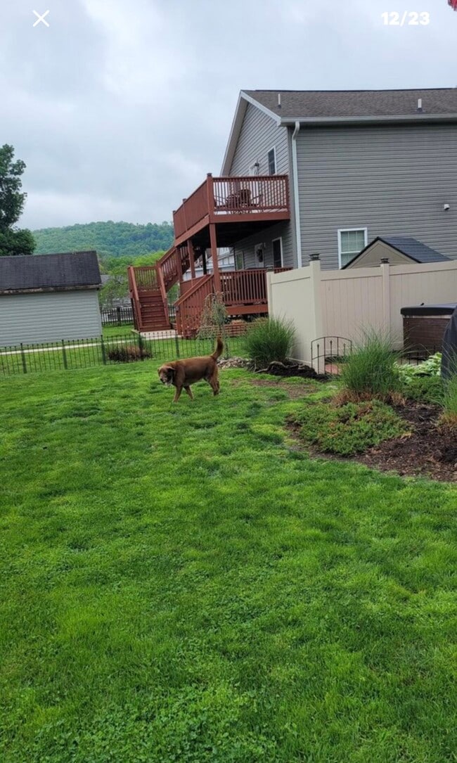 Building Photo - 1003 Catherine St