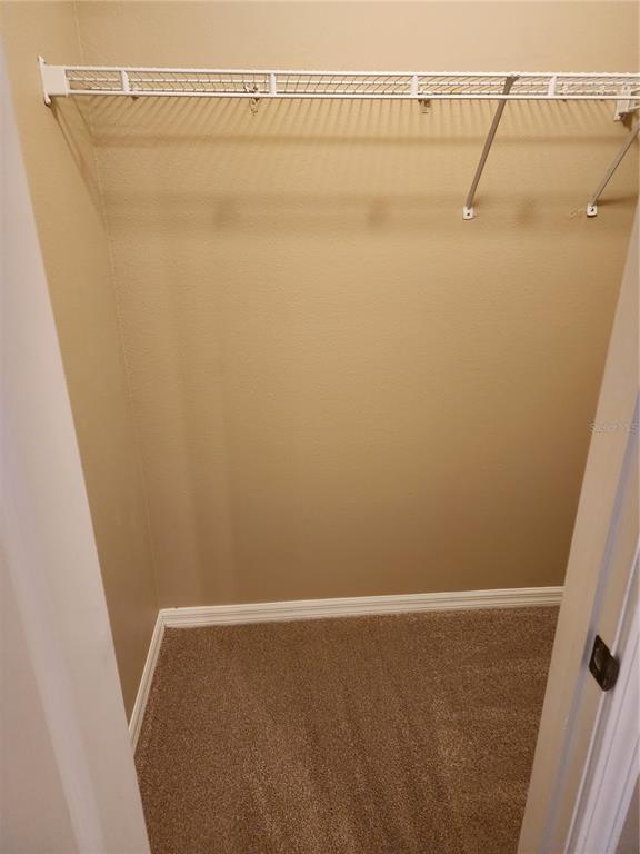 Building Photo - 15924 Fishhawk Creek Ln