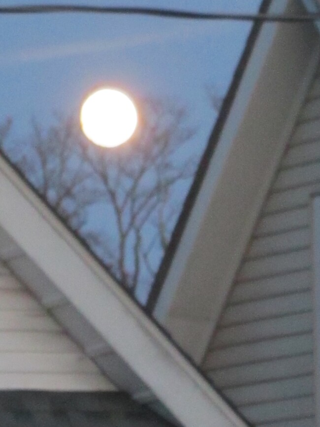 MOON RISE FROM LIVING ROOM BAY WINDOW - 35 Park Pl