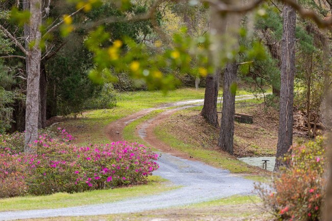 Building Photo - Gorgeous Furnished Estate on the Ashley River