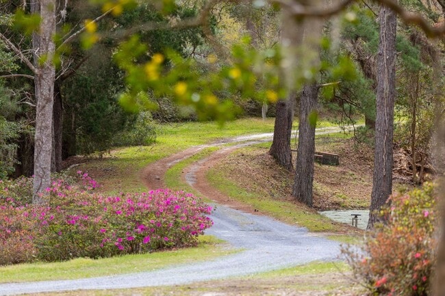 Building Photo - Historic Plantation Property on the Ashley River
