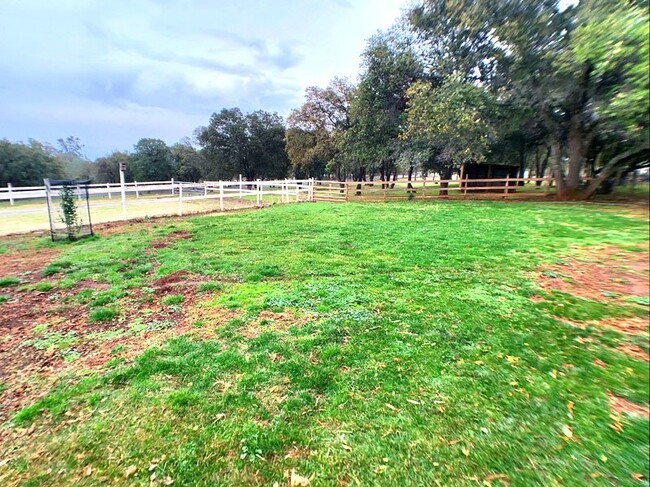 Building Photo - Equestrian property in Pilot Hill!