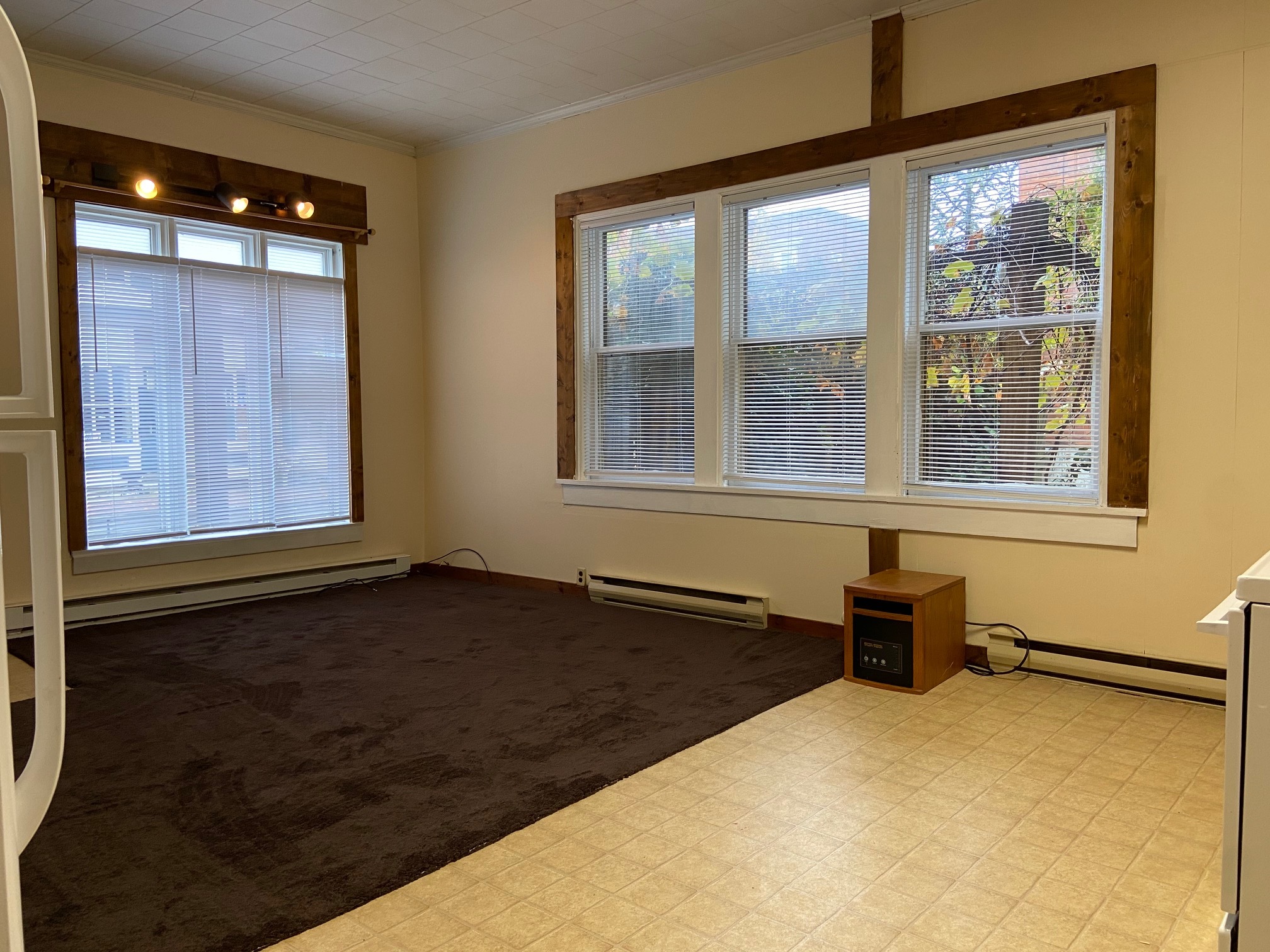 Living Room - 209 E Water St